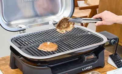 باربیکیو برقی